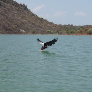 Jezero Baringo, Keňa