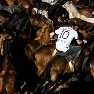 Loitadores vyskočí na koně a jízdou ho unaví, Sabucedo, Španělsko