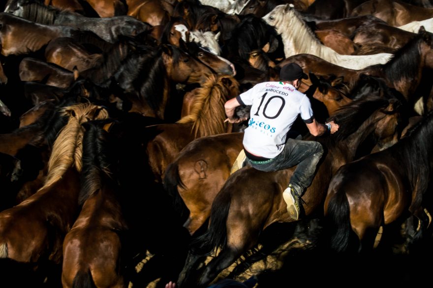 Loitadores vyskočí na koně a jízdou ho unaví, Sabucedo, Španělsko