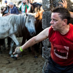Divoké koně je potřeba nejdříve zkrotit, Sabucedo, Španělsko