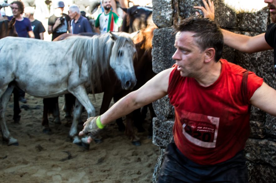 Divoké koně je potřeba nejdříve zkrotit, Sabucedo, Španělsko
