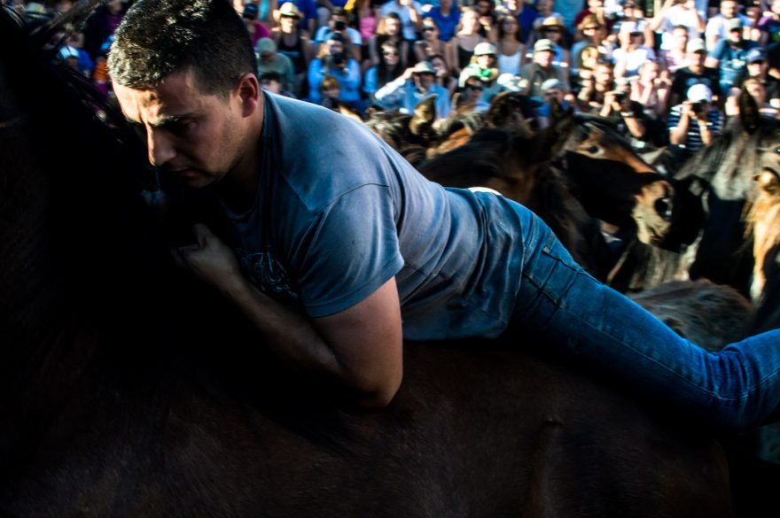 Loitadores vyskočí na koně a jízdou ho unaví, Sabucedo, Španělsko