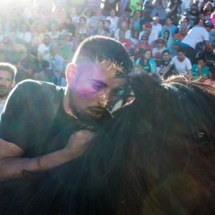 Koně jsou sice vyplašení, ale jinak se jim nestane nic špatného, Sabucedo, Španělsko