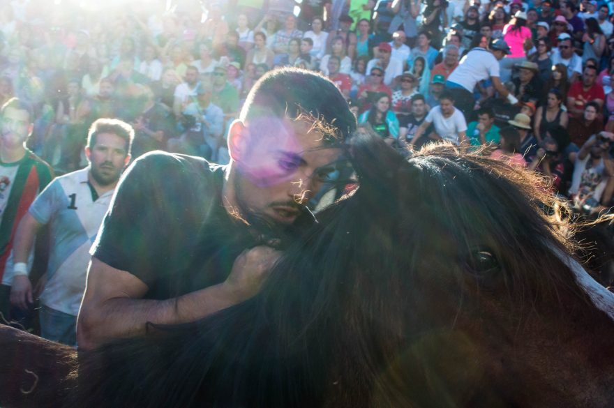 Koně jsou sice vyplašení, ale jinak se jim nestane nic špatného, Sabucedo, Španělsko