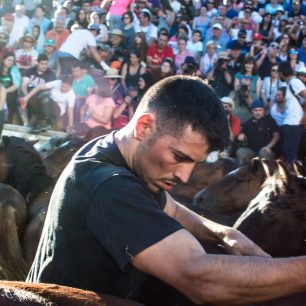 Loitadores koně krotí holýma rukama, Sabucedo, Španělsko