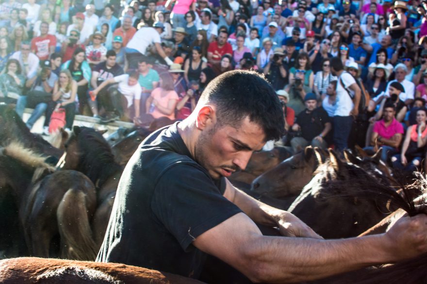 Loitadores koně krotí holýma rukama, Sabucedo, Španělsko
