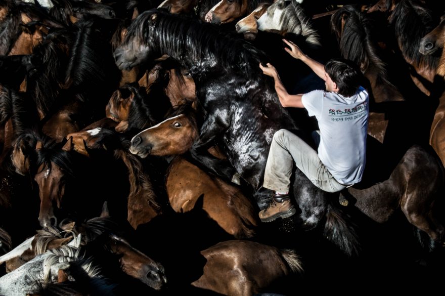 Koně jsou sice vyplašení, ale jinak se jim nestane nic špatného, Sabucedo, Španělsko