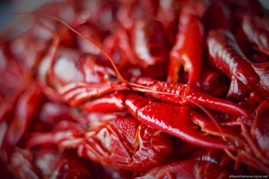 K masu se dostanete tak, že rozpitváte račí ocásky a klepeta. Švédsko