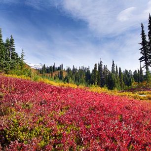 Podzim v Kaskádovém pohoří, USA