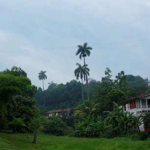 Zelené údolí, Las Terrazas, Kuba