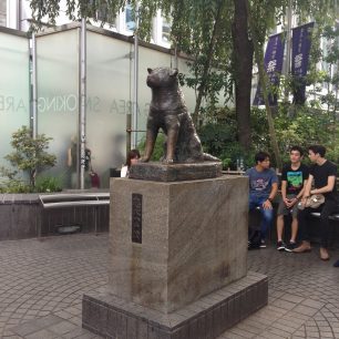 Sejdeme se u Hačika, Tokio, Japonsko