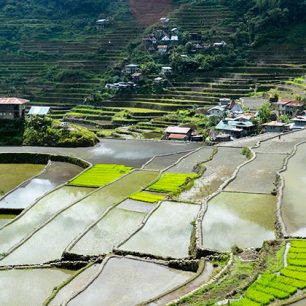 Rýžové terasy Banaue na Filipínách – tipy pro první návštěvu