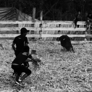 Klukům bylo sotva patnáct a stačí hloupá  náhoda a nedožij se šestnácti. I to je o Tauríně. Ekvádor