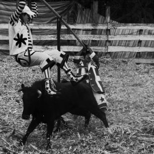 Taurina je pro hodně otrlé kaskadéry, kteří dokonale znají riziko. Komici v akci dokážou s takovou blbůstkou jakou je obyčejná dětská houpačka neskutečné věci. Ekvádor