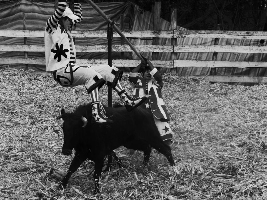 Taurina je pro hodně otrlé kaskadéry, kteří dokonale znají riziko. Komici v akci dokážou s takovou blbůstkou jakou je obyčejná dětská houpačka neskutečné věci. Ekvádor