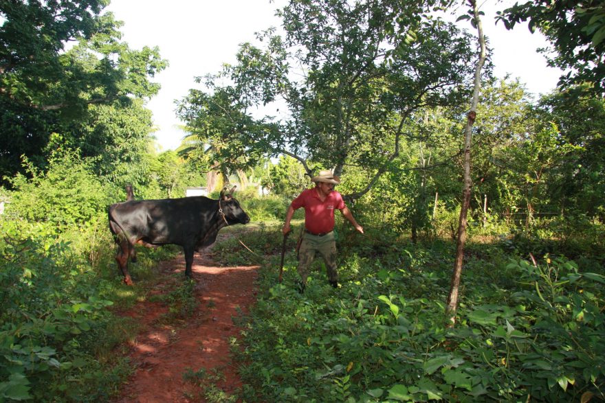 Krásná příroda je dalším lákadlem, Kuba