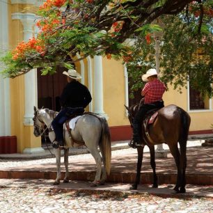 Koním v ulicích se nikdo nediví, Kuba