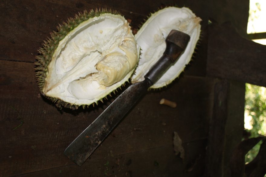 Durian smrdí tak, že do některých míst je s ním vstup zakázán, Indonésie