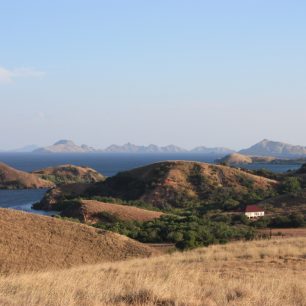 Příroda na ostrově Rinca, Indonésie