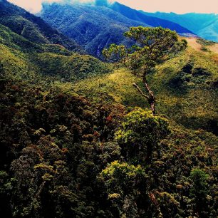 Horské lesy na jihu Ekvádoru blízko peruánské státní hranice.  Jen čtyřicet kilometrů od farmy, kterou jsme si pronajali.