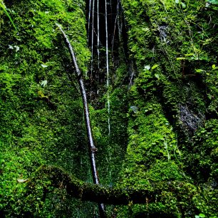 Nedaleko farmy se nachází horský pramen, jehož úžasná voda nám slouží na pití. Ekvádor