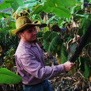 Při práci na farmě na jihu Ekvádoru. Banánovník se pravidelně musí ořezávat. Ekvádor