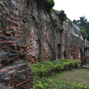 Zdi původní holandské pevnosti Fort Zeelandia dnes porůstají kořeny banyánů, Tainan, Taiwan.