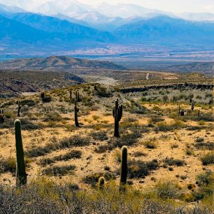 Argentinská krajina s kaktusy, Argentina