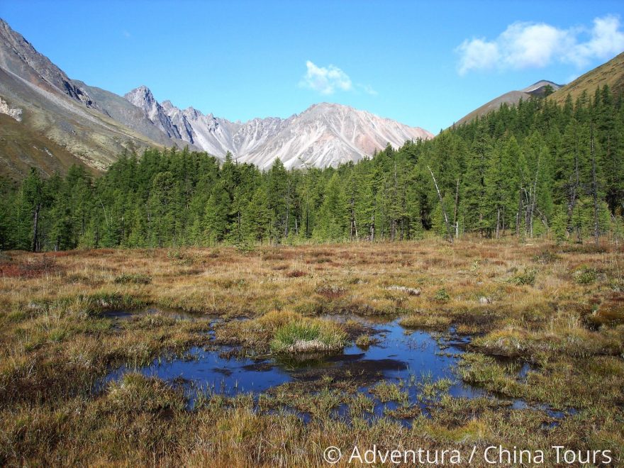 Východní Sajan - horské rašeliniště,Tomáš Hyka,Rusko