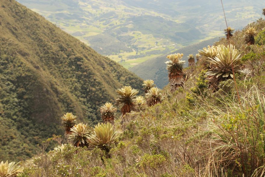 NP Iguaque, Kolumbie