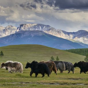 Mongolská příroda vás uchvátí, Mongolsko