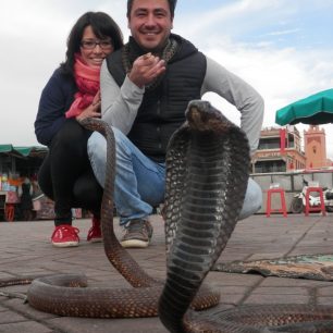 Kobra vycvičená pro pózování, Maroko