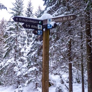 V parku jsou značené stezky, NP Tyresta, Švédsko
