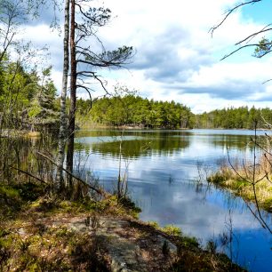 V parku je překrásná příroda a přitom není daleko od Stockholmu, NP Tyresta, Švédsko