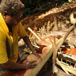 Zpracování palmového dřeva, Papua Nová Guinea