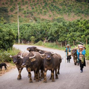 Za tradičními vesnicemi nemusíte do Myanmaru či Laosu, i sever Thajska jich stále skrývá dost, Fang, Thajsko 