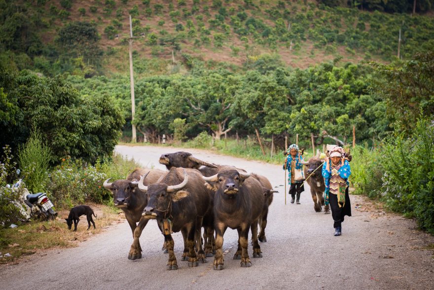 Za tradičními vesnicemi nemusíte do Myanmaru či Laosu, i sever Thajska jich stále skrývá dost, Fang, Thajsko 