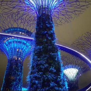 Superstromy umí sbírat i vodu, Singapur