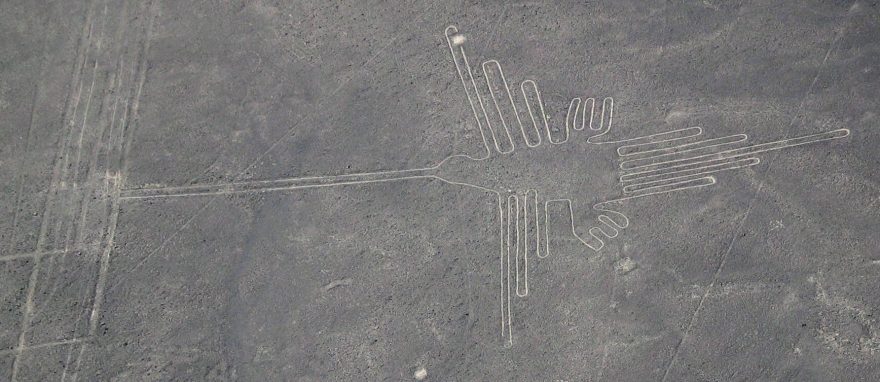 Kolibřík na planině Nazca, Peru