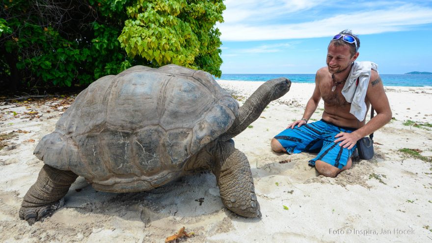 Na Seychelách je druhé místo na světě, kde je možné želvy obrovské vidět volně žijící