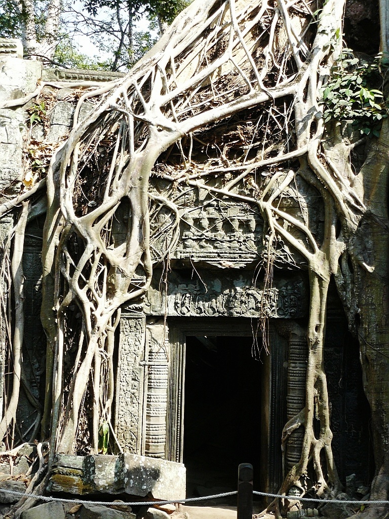 Ta prohm, Angkor wat, Kambodža