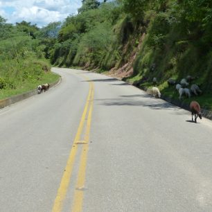 Okolí Tarija, Bolívie