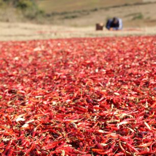 Inle lake trek, Myanmar