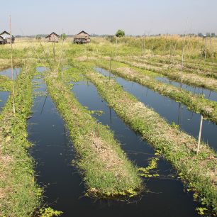 Jezero Inle a plovoucí zahrady, Myanmar