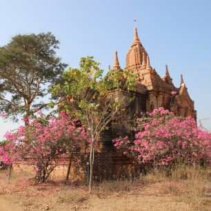 Rozkvetlý Bagan, Myanmar