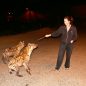 Etiopie: Večerní dýchánek s hyenami v ulicích města Harer aneb jaký je pocit krmit zvíře s nejsilnějším stiskem čelistí