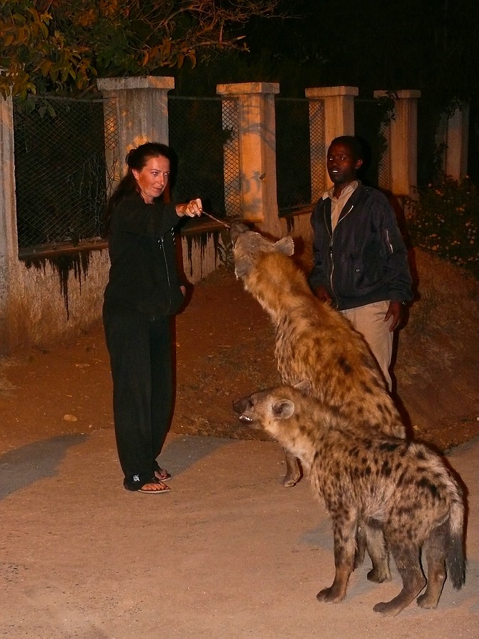 Zde jsme měli z hyen jiný pocit, než je ten v divoké buši, Etiopie