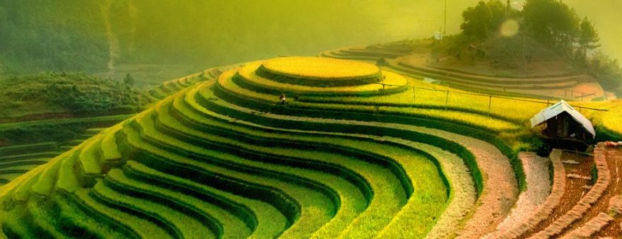 Rýžová políčka, Vietnam