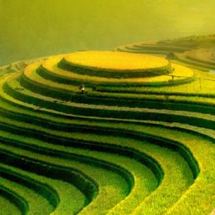 Rýžová políčka, Vietnam