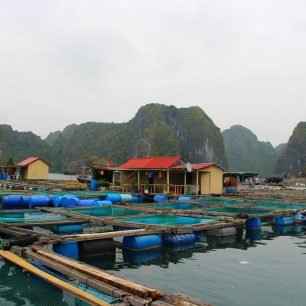 Plovoucí rybí farmy, zátoka Lan Ha Bay, Vietnam